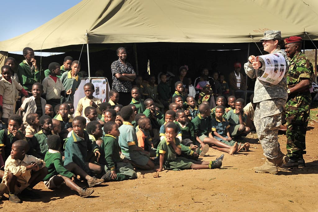 The Thirty-Four-Million-Dollar Bet on African Defence — in context
